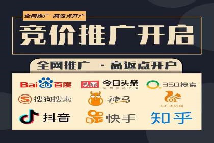 百度竞价公司案例分析：优化策略全解析